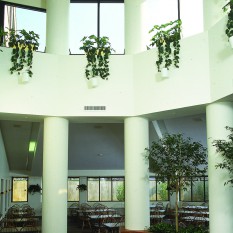 cafeteria dining sky lighting